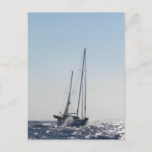 Carte Postale Vent De Tête Et Soleil