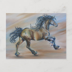 Carte Postale Vent Racer