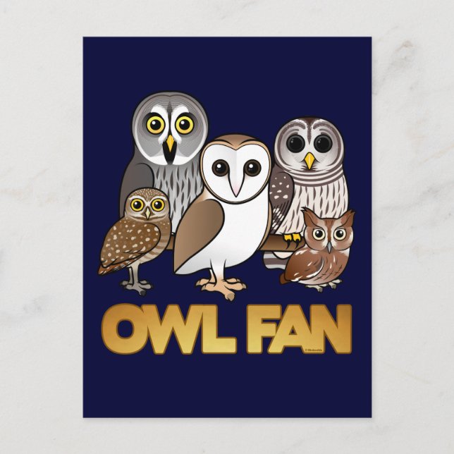 Carte Postale Ventilateur de hibou (Devant)