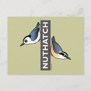 Carte Postale Ventilateur Nuthatch