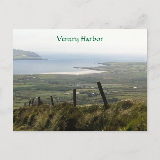 Carte Postale Ventry Harbor, Dingle, Kerry, Irlande (Devant)