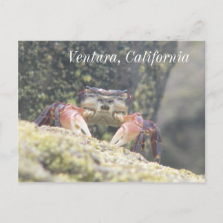 Carte Postale Ventura, Californie