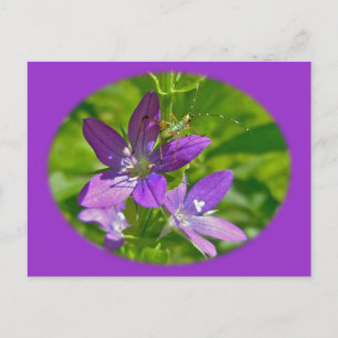 Carte Postale Vénus Regard Verre Fleur sauvage Floral
