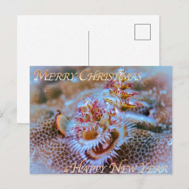 Carte Postale ver de l'arbre de Noël  (Devant / Derrière)