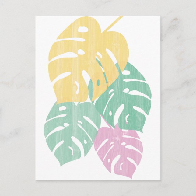 Carte Postale Verdure tropicale - Monstera Feuilles (Devant)