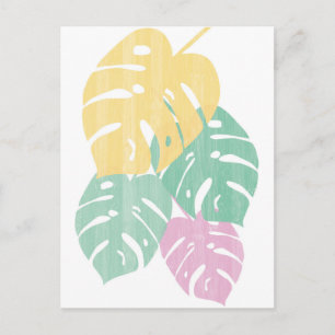 Carte Postale Verdure tropicale - Monstera Feuilles
