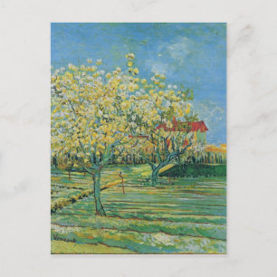 Carte Postale Verger à Blossom, Vincent van Gogh Art
