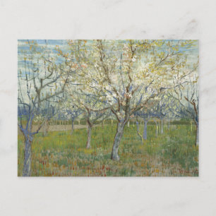 Carte Postale Verger avec Apricot en fleurs - Van Gogh P