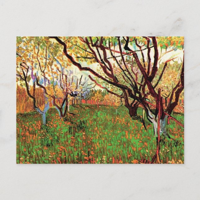 Carte Postale Verger en fleurs, Vincent van Gogh (Devant)