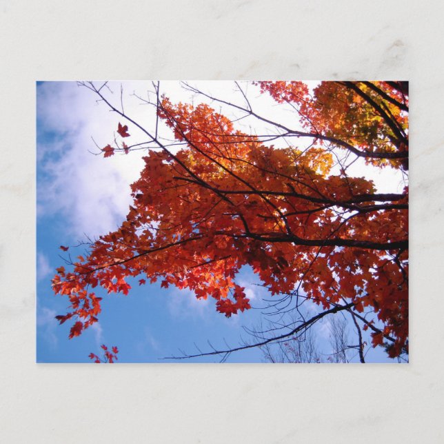 Carte postale Vermont 1 (Devant)