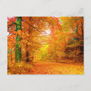 Carte Postale Vermont Autumn Fine Nature Landscape