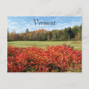 Carte Postale Vermont en couleur