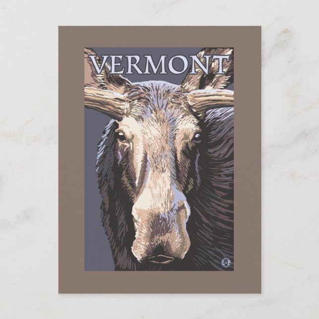 Carte Postale VermontMoose en haut (Devant)