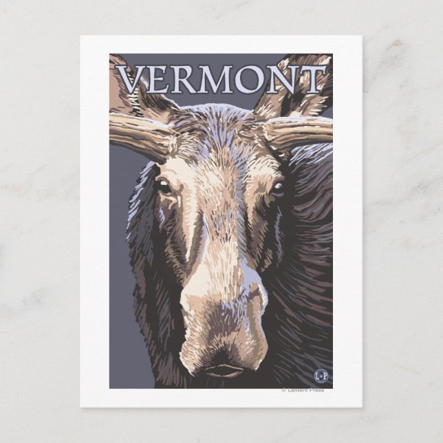 Carte Postale VermontMoose en haut (Devant)
