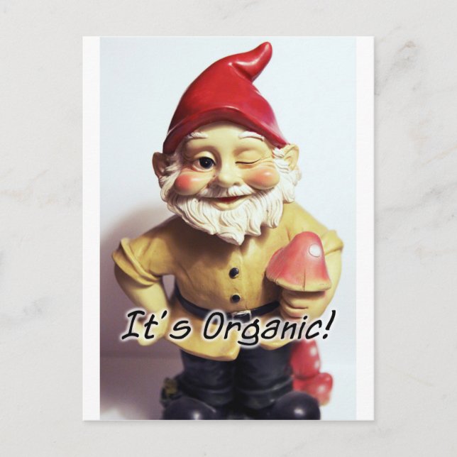 Carte Postale Veronica le Gnome (Devant)