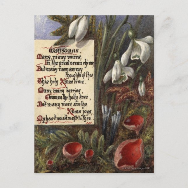 Carte Postale Vers 1890 : Snowdrops (Devant)