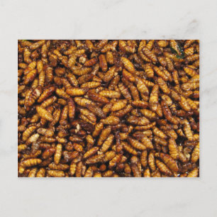 Carte Postale Vers de soie frits ... Thai Street Food