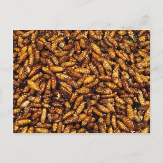 Carte Postale Vers de soie frits ... Thai Street Food (Devant)