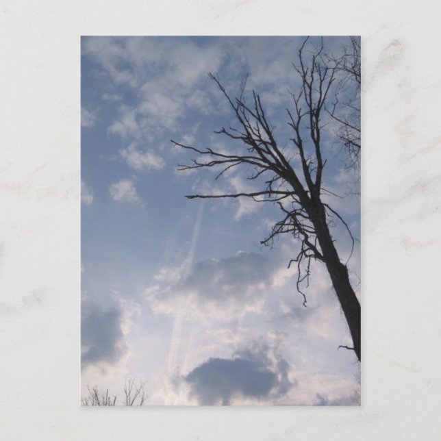 Carte Postale vers le ciel (Devant)