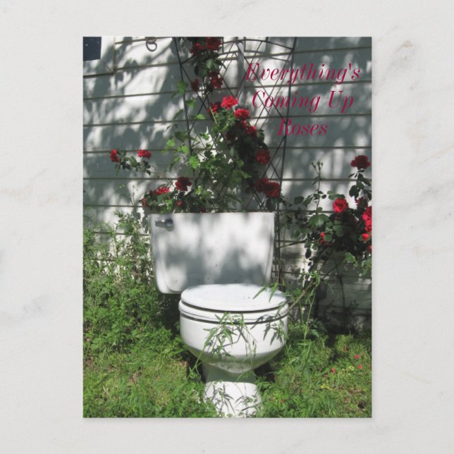 Carte Postale Vers le haut Rose (Devant)