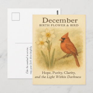 Carte Postale Verset biblique cardinal chrétien d'anniversaire d