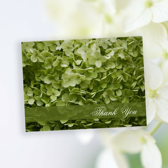 Carte Postale Vert Annabelle Hydrangea Merci Floral (Créateur téléchargé)