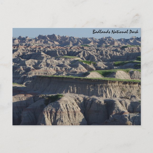 Carte Postale Vert dans les terres insalubres (Devant)