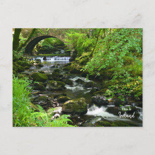 Carte Postale Vert Irlandais - Irlande