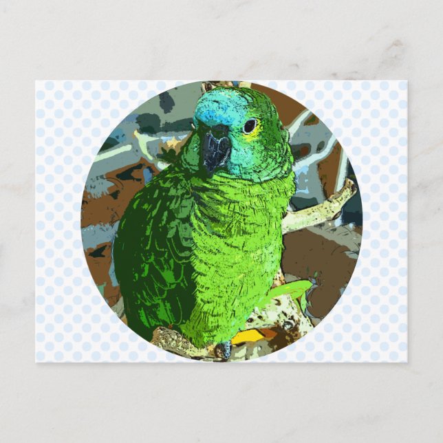 Carte Postale Vert perroquet (Devant)