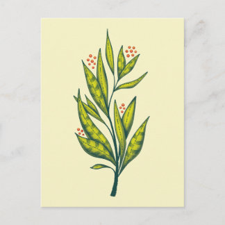 Carte Postale Vert Plante Botanique Art Nature Lover