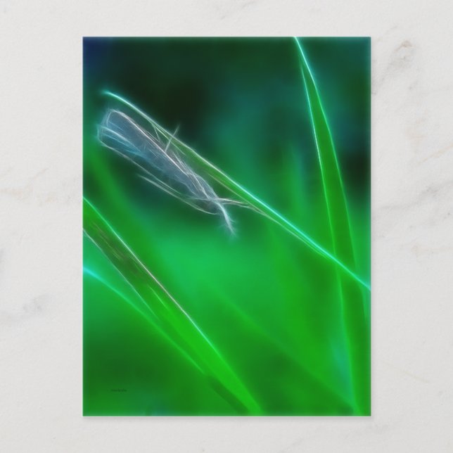 Carte postale verte (Devant)