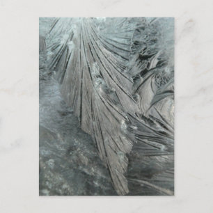 Carte postale Verte do-it-yourself Fleur de glace