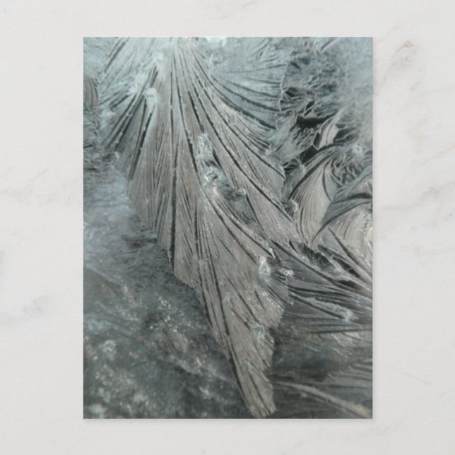 Carte postale Verte do-it-yourself Fleur de glace (Devant)