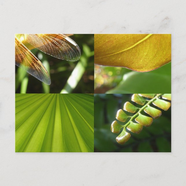 Carte postale verte et or (Devant)