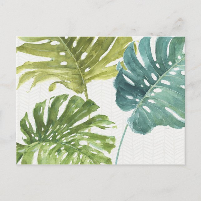 Carte Postale Verts mixtes | Palmes tropicales (Devant)
