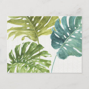 Carte Postale Verts mixtes   Palmes tropicales
