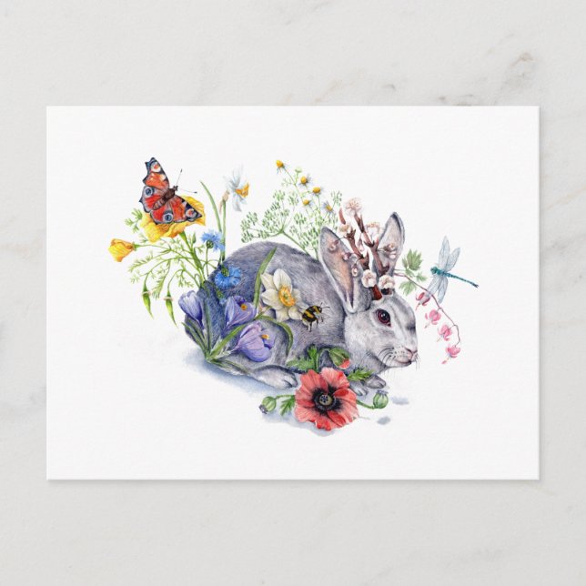 Carte Postale Veste de printemps (Devant)