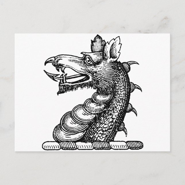 Carte Postale Vêtements Dragon 9 (Devant)