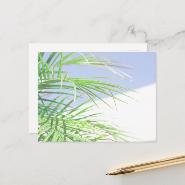 Carte Postale Vibes d'été Feuilles de Palmier Vert Pâle Pastel (Devant/Arrière en situation)