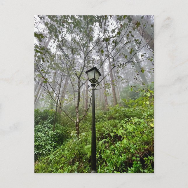 Carte Postale Vibes portugaises (Devant)