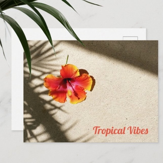 Carte Postale Vibes tropicales Hibiscus (Créateur téléchargé)
