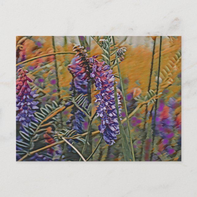 Carte Postale Vibrant Lupine Arctique (Devant)