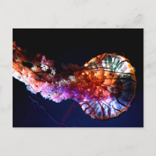 Carte Postale Vibrant méduse tropicale sous-marine