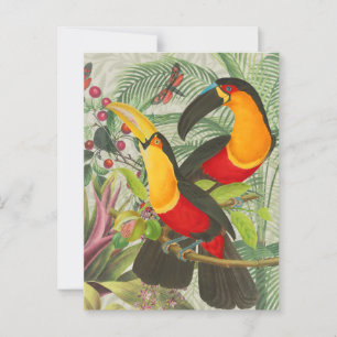 Carte Postale Vibrant Tropical Toucan Birds Art Exotic Jungle