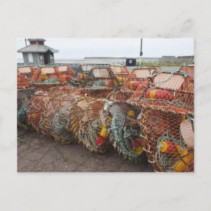 Carte Postale Victoria, Île-du-Prince-Édouard. Casiers à crabes