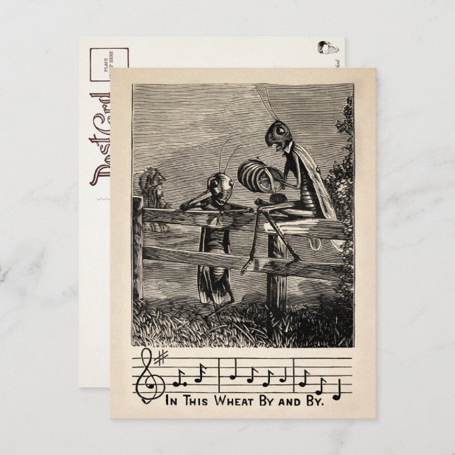 Carte postale Victorian Grasshopper Song (Devant / Derrière)