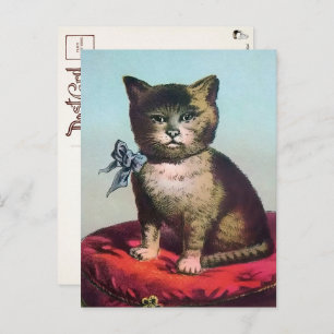 Carte postale Victorian Odd Cat