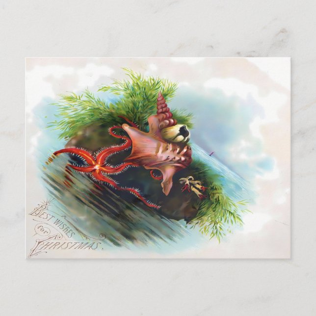 Carte Postale Victorian Starfish & Seashell Holiday Greetings (Devant)