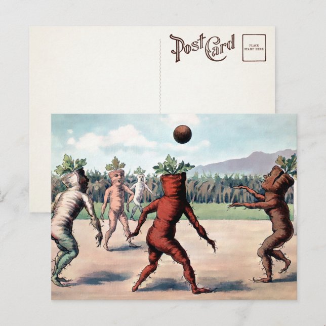 Carte postale victorienne de carottes jouant au ba (Devant / Derrière)