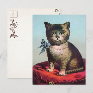 Carte postale victorienne de chat étrange